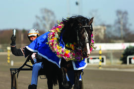 Lome Brage. Foto: Eirik Stenhaug / Norsk Rikstoto