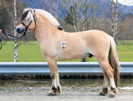 Birkelid Odin ble kåret og stilt som I i kvalitet i klasse 3.