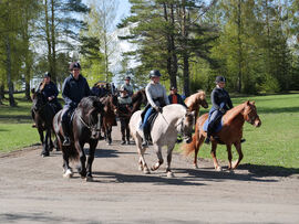 Det flotte følget ankommer Starum. I spiss rir direktør og rektor ved NHS, Cecilie Gaarder Skaug, på dølahesten Olstad Blesen, sammen med hestefaglærling Julie Myrsveen på fjordhesten Lunner Idar og hestefaglærling Mari Olsby Bratberg på nordlandshest/lyngshesten Starums Luna. Bak ser vi kløvkarene Lars Hamarsbøen og Tore Joten, flankert av folk og hester fra distriktet.