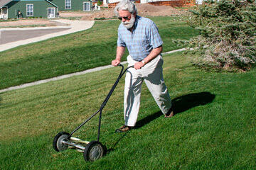 bs-Mowing-Lawn-549154-360