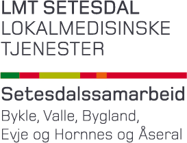 Logo LMT 2022