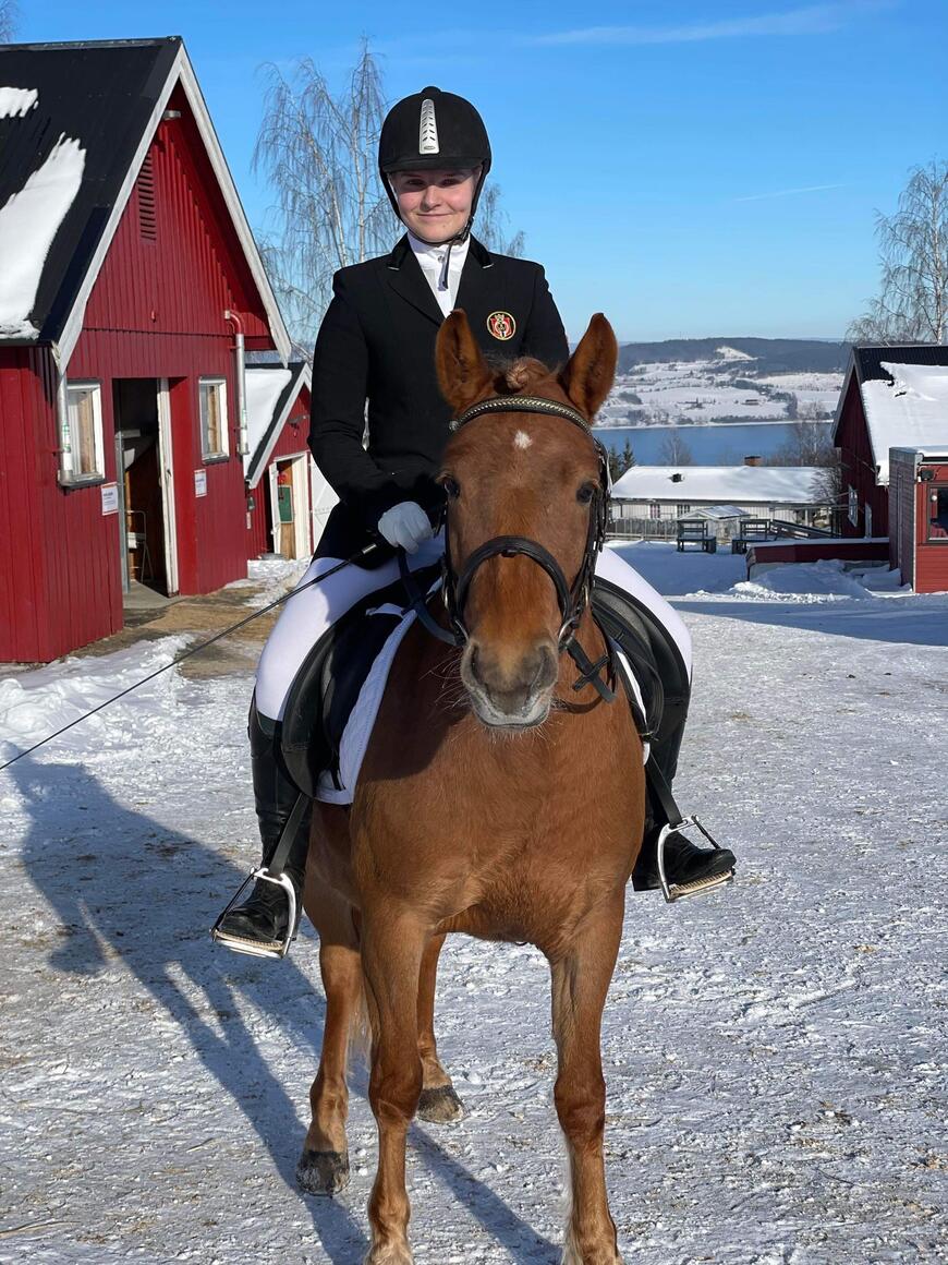 Nordlands/lyngshesten Starums Lava er oppdrettet av Norsk Hestesenter. Her er hun sammen med vår lærling Mari O. Bratberg klar for dressurstevne.