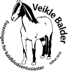 Veikle Balder logo