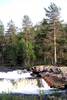 Hyttefossen