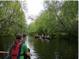 Flere kanoer hvor barn padler på en elv. Grønne trær på hver side