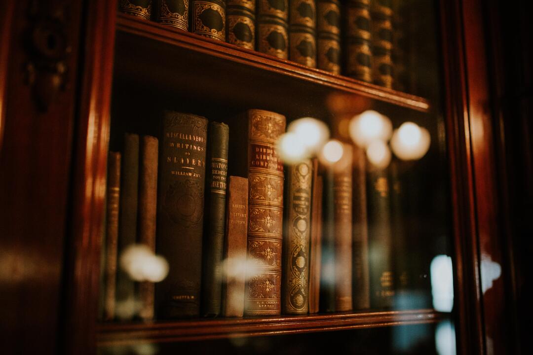 Bilde av bøker i en bokhylle