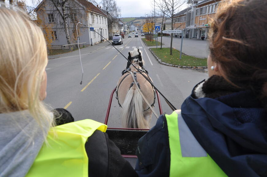 Hest og vogn i trafikk
