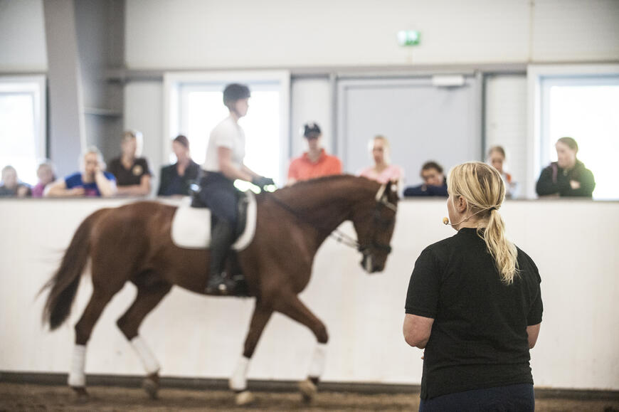Hest og rytter som får undervisning av instruktør