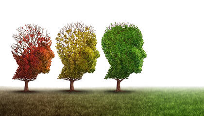 Illustrasjonen viser tre trær med form som menneske-hoder i profil. Det fremste er fullt av blader, mens det på de to neste blir stadig mindre blader.
