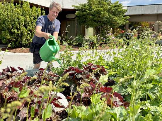 Bildet viser et grønnplante-bed i forkant. En mann lener seg over bedet med en vannkanne og vanner plantene. Bak ser man mer bed, og veggene til samfunnshuset.