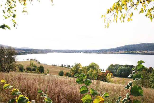 Bildet er et landskapsbilde av Randsfjorden. I forkant er det noen greiner, foran et jorde som går ned til vannkanten. I det fjerne skimtes Jevnaker sentrum.