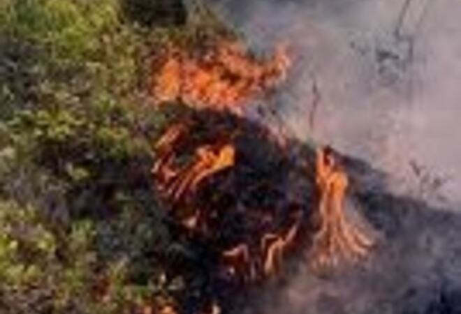 Bilde av flammer som brenner i lyng