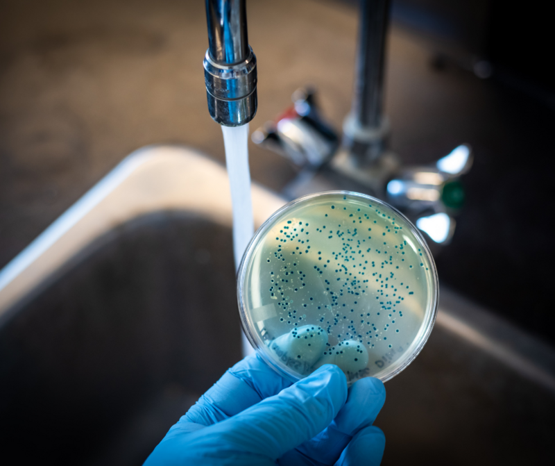 E-koli og koliforme bakterier i drikkevann