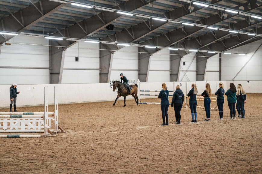 Undervisning hest og rytter