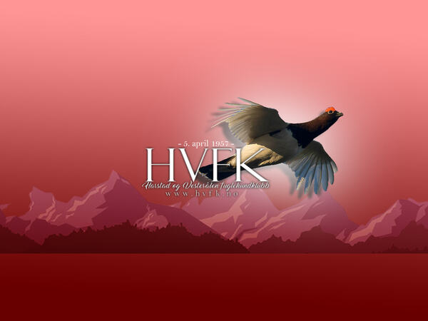 screensaver