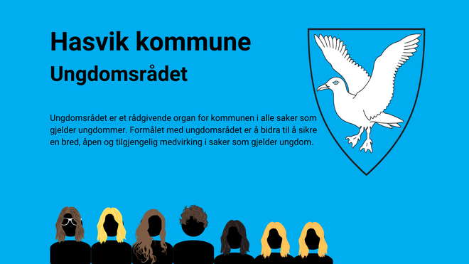 illustrasjon av ungdomsrådet i hasvik kommune
