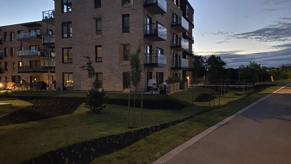 Uteområde til leilighetskompleks med nyplantet vegetasjon