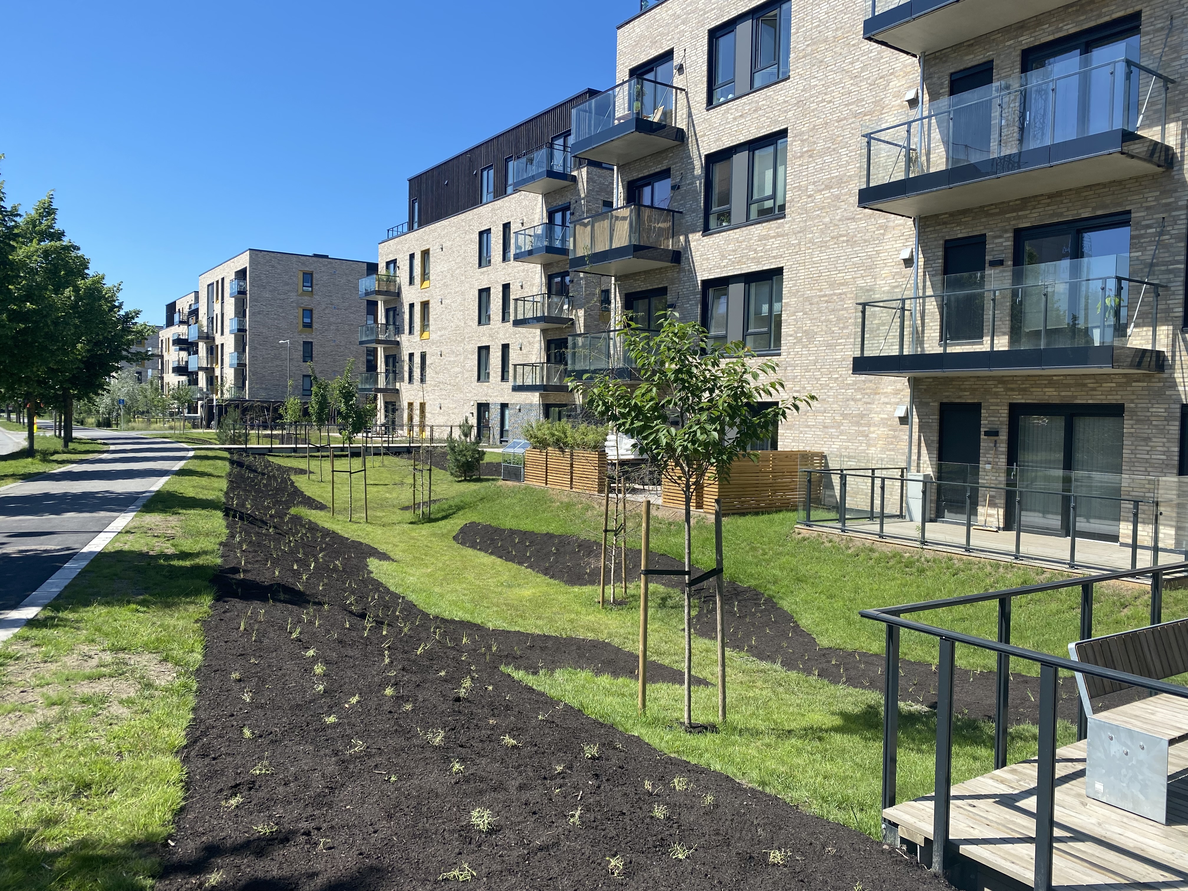 Uteområde til leilighetskompleks med nyplantet vegetasjon