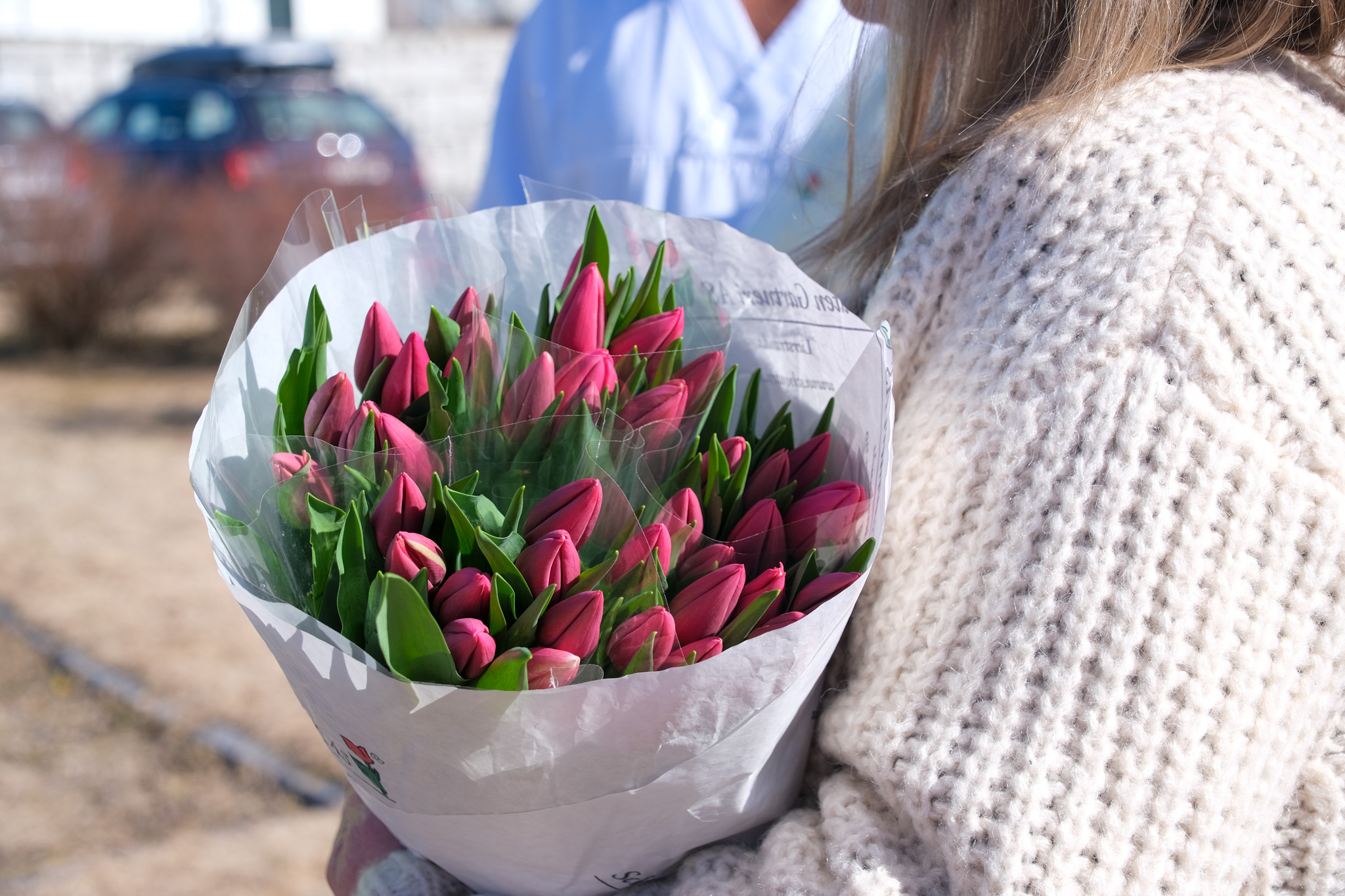 Nærbilde av bukett med tulipaner holdt av en med hvit genser