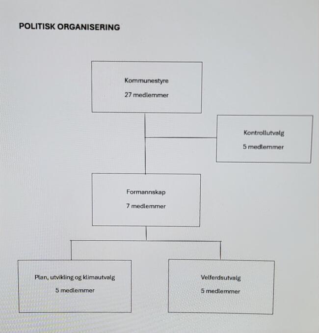 Politisk organisering
