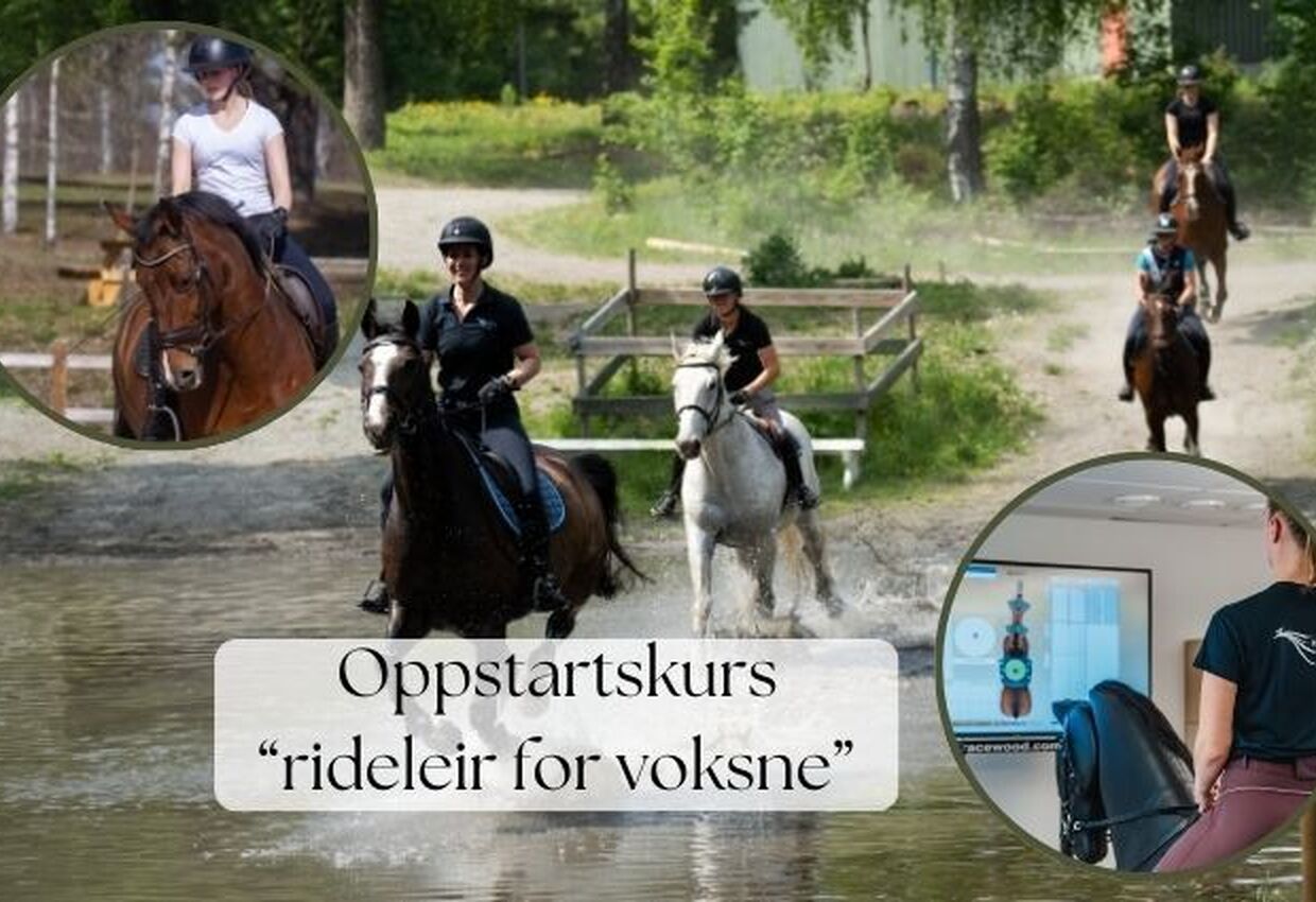 Oppstartskurs - Rideleir for voksne