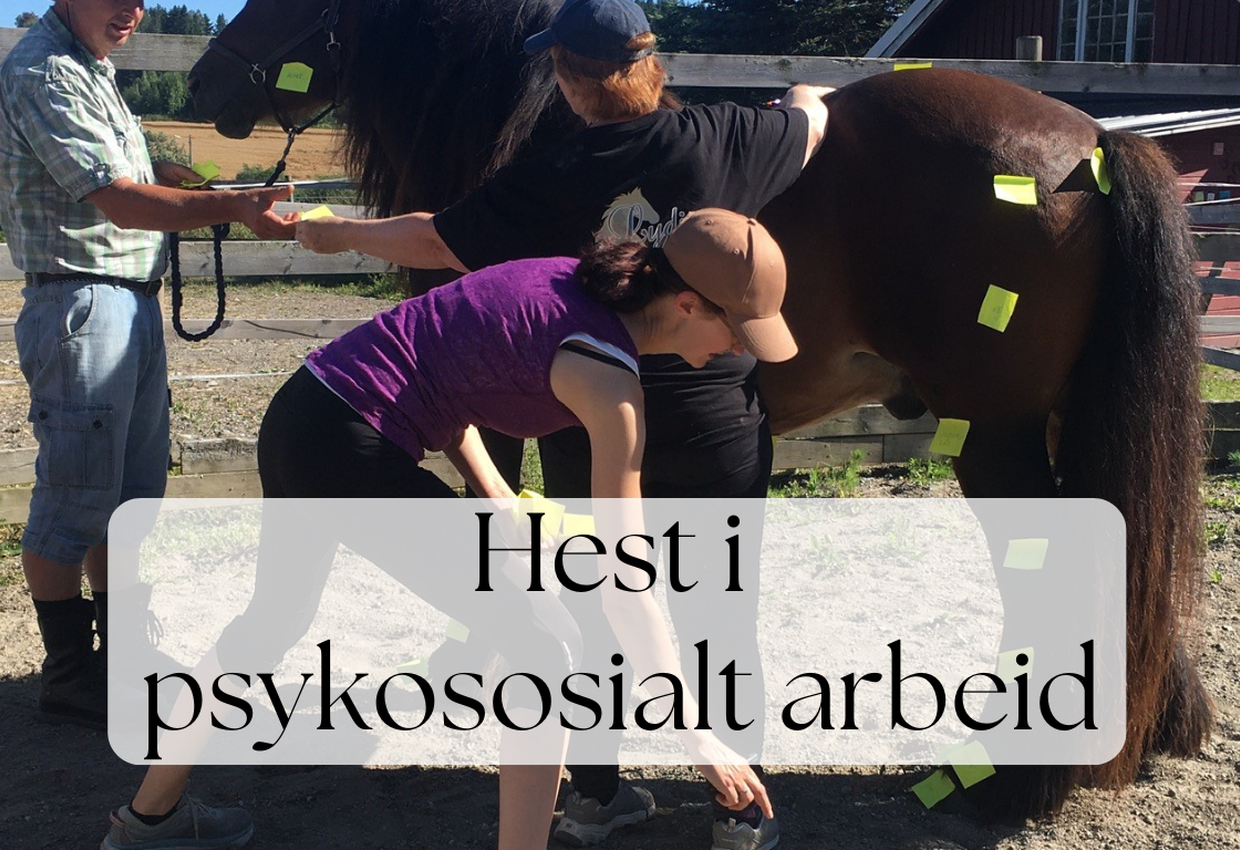 Hest i psykososialt arbeid