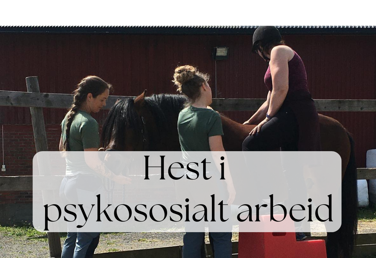 Hest i psykososialt arbeid