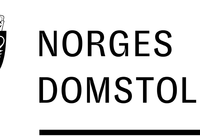 Logo Norges domstoler