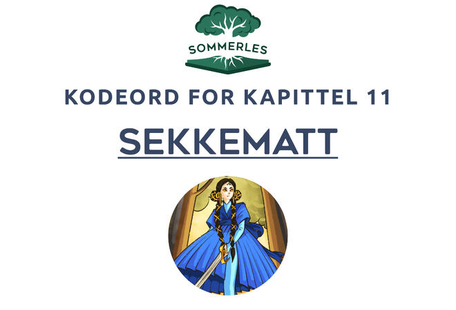 Kodeord 11: Sekkematt