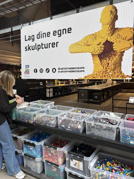 Bildet viser bokser med lego-klosser