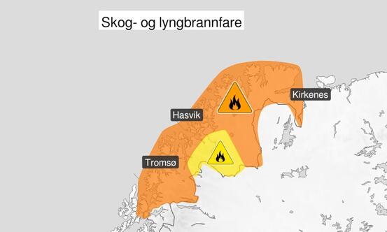 Skog- og lyngbrannfare