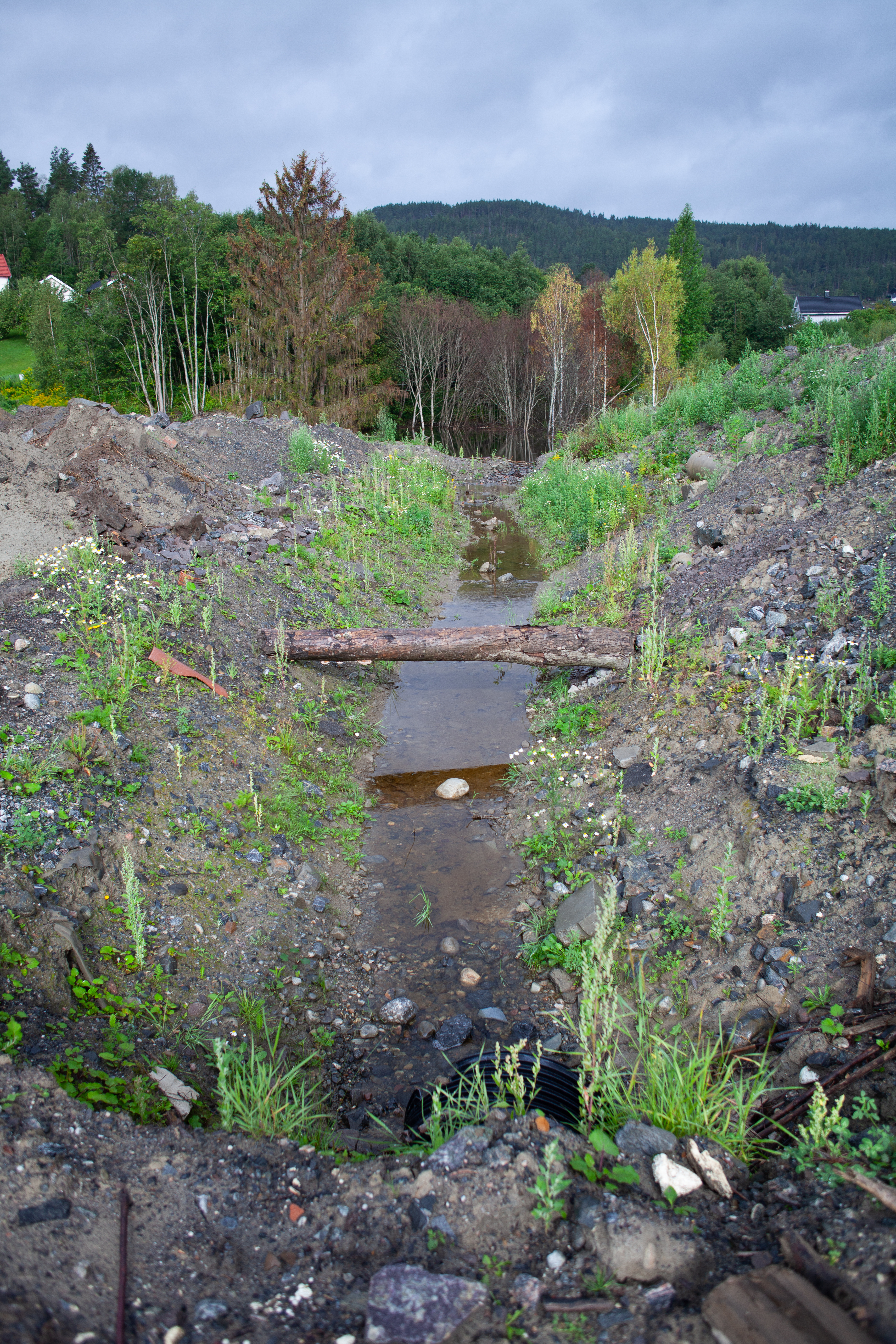 Bildet viser en bekk med masser ispedd noe gress på begge sider. I bakkant ser man skog, ås og himmel. Foran skogen kan et lite tjern skimtes.