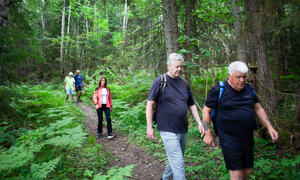 Bildet viser flere personer som går i skogen.