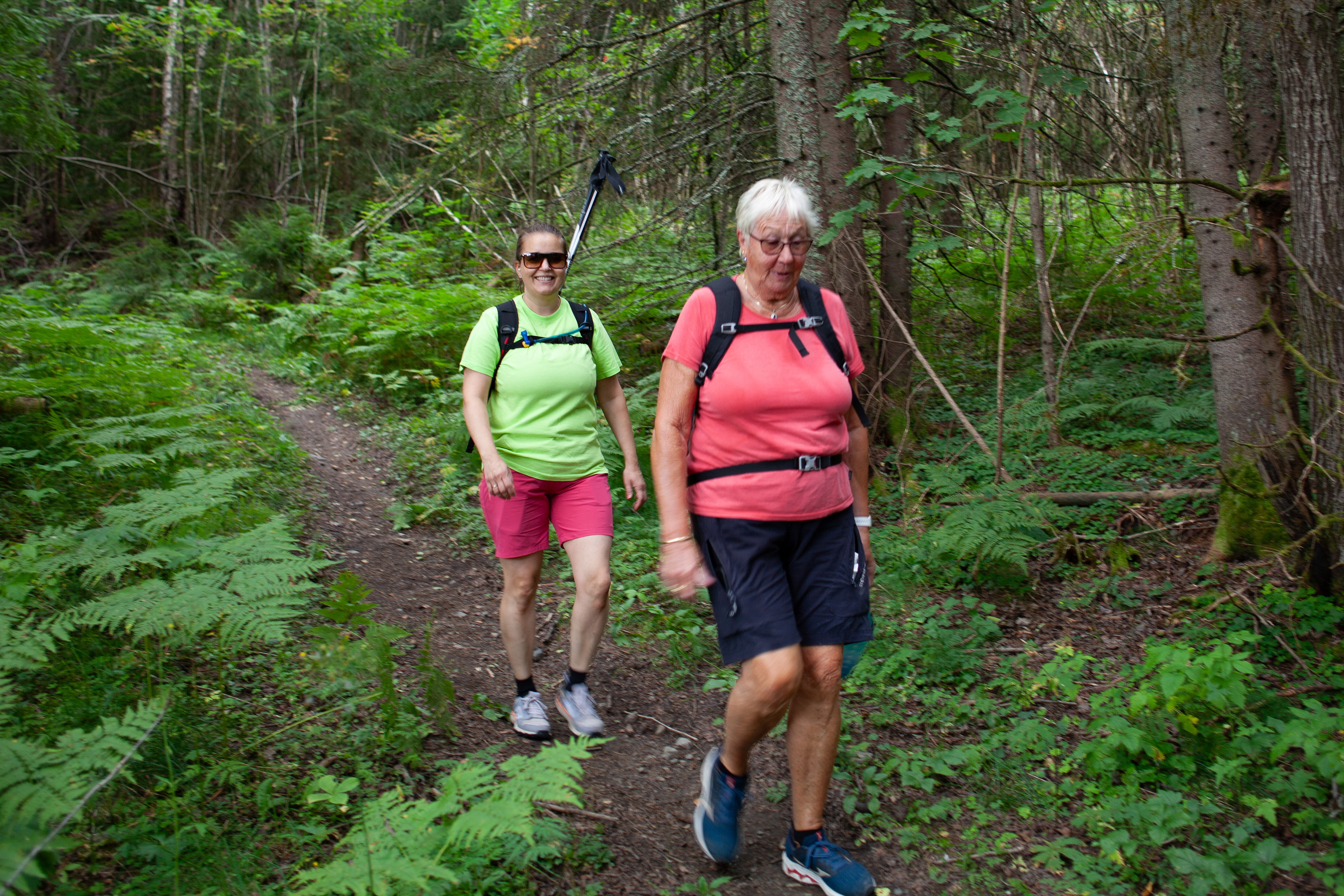 Bildet viser to personer i skogen.