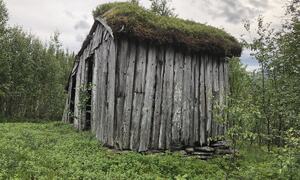 Torvsjå