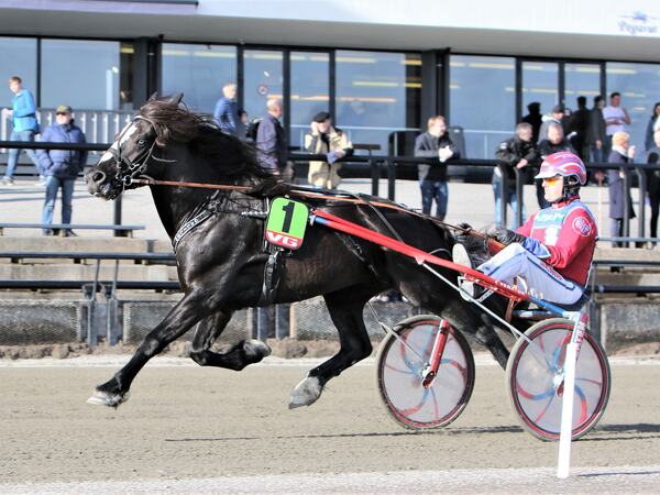 Foto: Øystein Gamlem