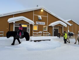 Nedleggelse av hestefag ved Senja Videregående skole: Et stort tap for Troms fylke og det viktige arbeidet som gjøres for nordlandshest/lyngshest ved Nasjonalt senter for nordlandshest/lyngshest.