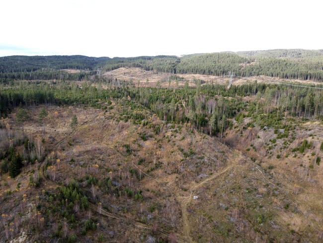 Bildet er et dronefoto over et landskap. Man ser noe skog, noen skogsveier og høyspentmaster.