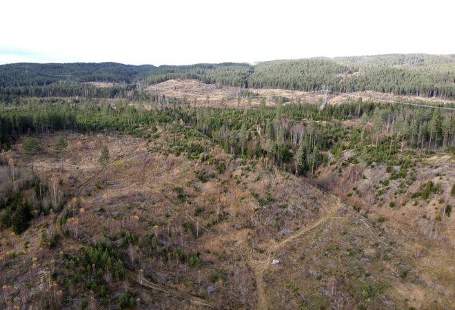 Bildet er et dronefoto over et landskap. Man ser noe skog, noen skogsveier og høyspentmaster.