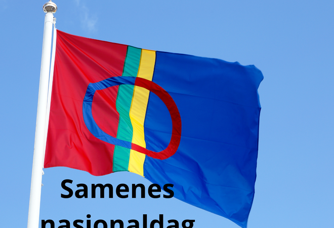 Samisk flagg