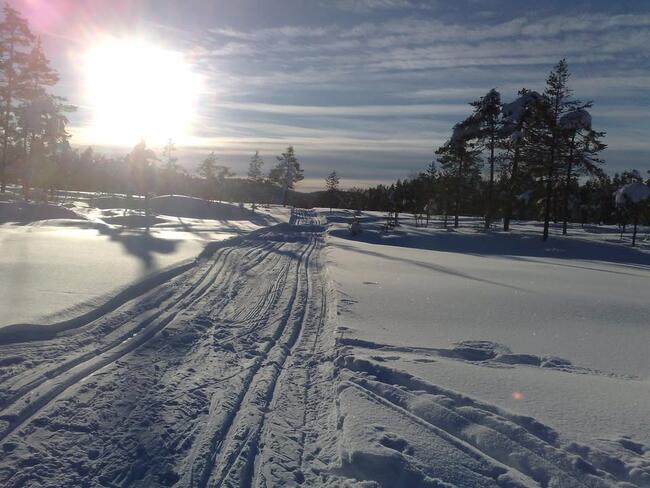 Veståsen vinter