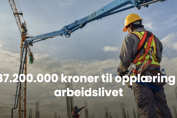 Opplæring i arbeidslivet