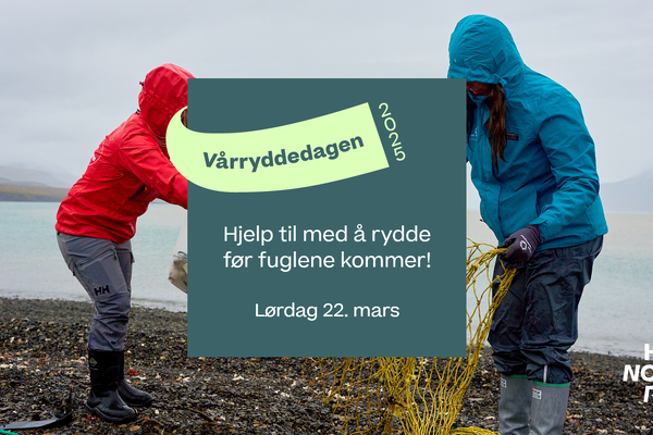 vårryddedag