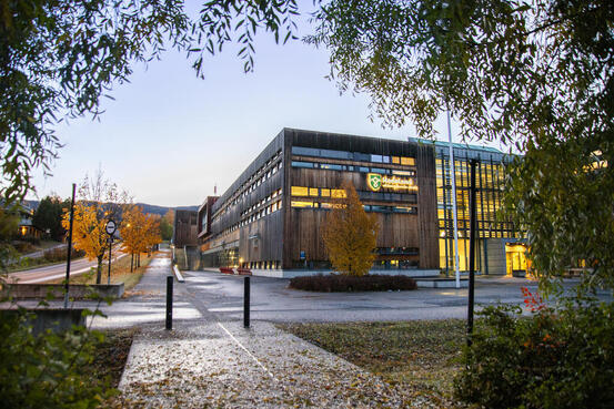 Bildet viser et stort bygg. Man kan se en logo på veggen med fylkesvåpenet til Innlandet fylkeskommune og teksten Hadeland videregående skole.
