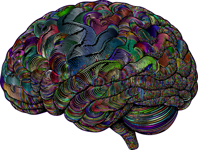 brain-9565805_1280