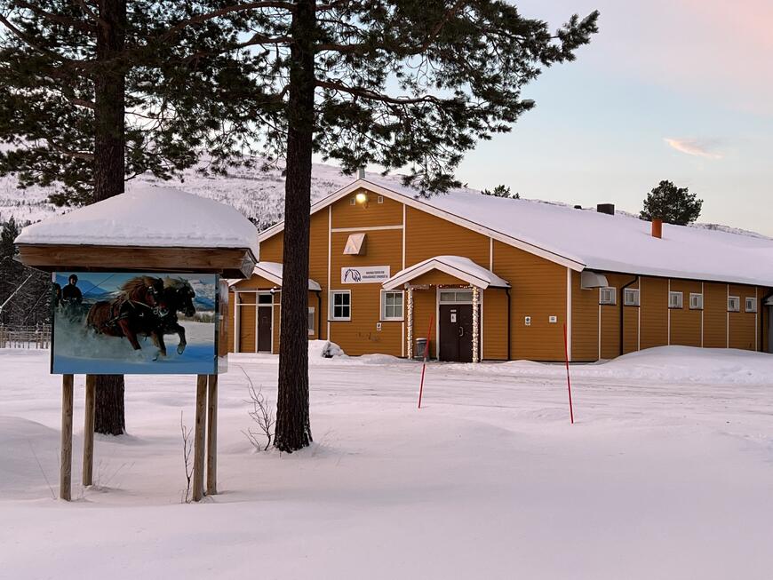 Arkivbilde fra Nasjonalt senter for nordlandshest/lyngshest i Troms