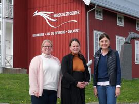 Fra venstre: avtroppende styreleder Torild Jacobsen, ny styreleder Marit Knutsdatter Strand, og direktør og rektor ved NHS Cecilie Gaarder Skaug