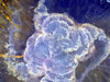  1756101473543275