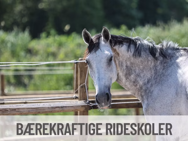 Påmeldingen er åpen til årets Bærekraftige rideskoler kurs