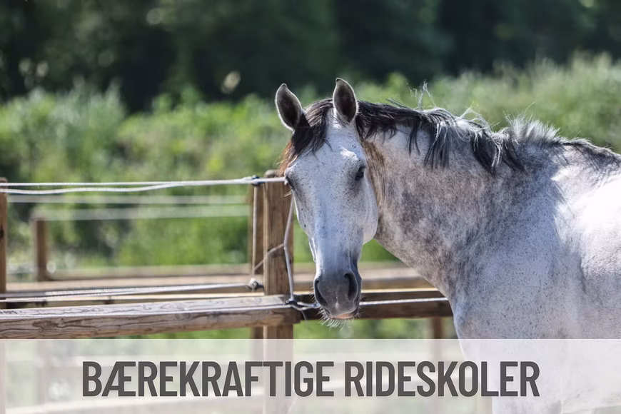 Påmeldingen er åpen til årets Bærekraftige rideskoler kurs